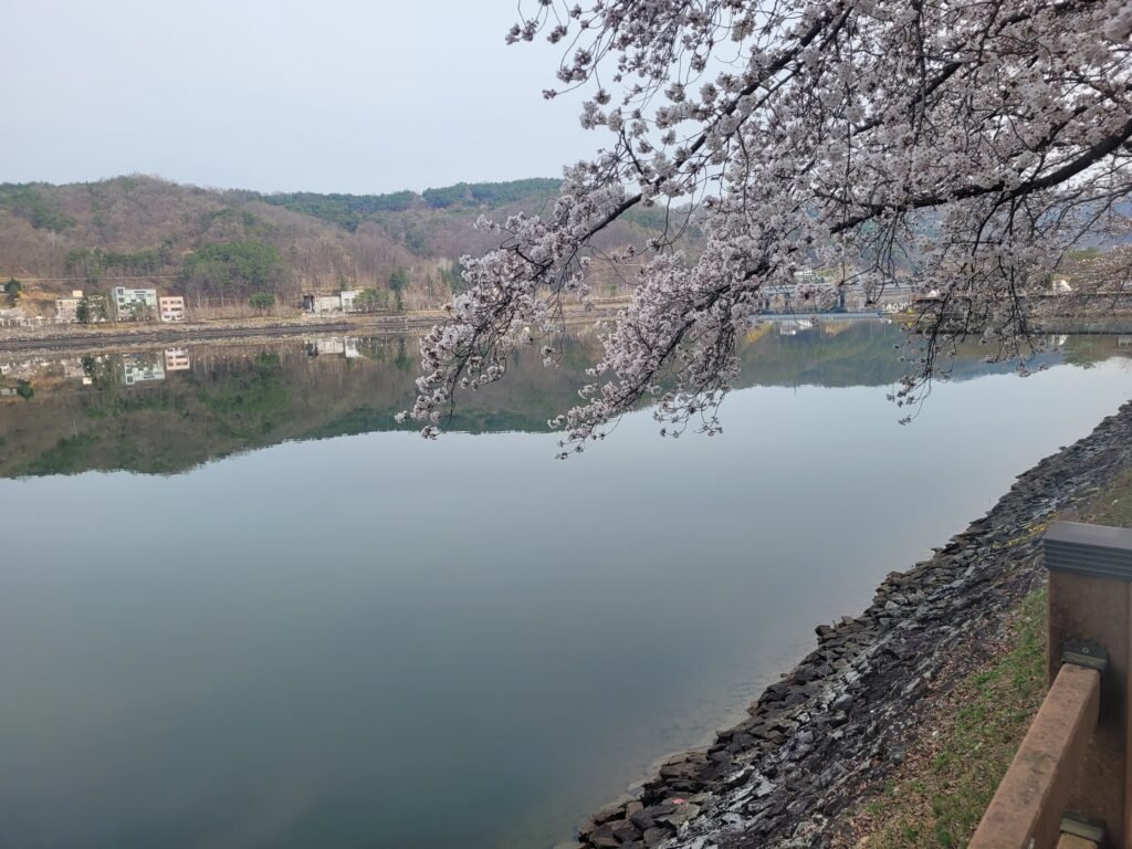 [안동 여행] 첫 번째 안동 2편｜월영교 산책과 일직식당 간고등어조림